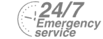 24/7 Emergency Service Pest Control in Staines-upon-Thames, Egham Hythe, TW18. Call Now! 020 8166 9746