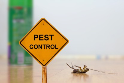 Pest Contol in Staines-upon-Thames, Egham Hythe, TW18. Call Now 020 8166 9746